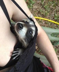 Пригрелся))