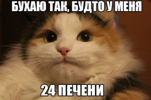 27, потому что 24 на 9 не делится. По 3 на жизнь - нормально)