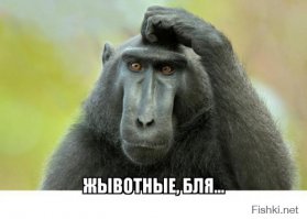 Известные кутюрье нервно курят в сторонке! 27 горе-модников из американских супермаркетов