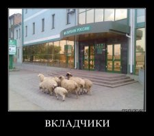 Да аффтор и вправду дебил, раз держит счет в сбербанКе.
