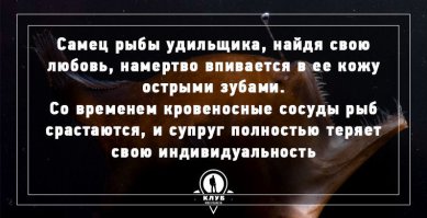У людей впивается самка,а индивидуальность все равно самец теряет.