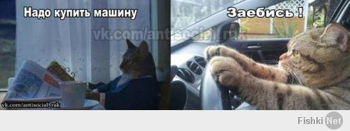 Очередная подборка автоприколов 