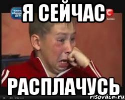 Трогательное воссоединение львицы с прайдом после 3 дней разлуки