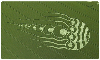 Пусть теперь инопланетяне на других полях круги оставляют!