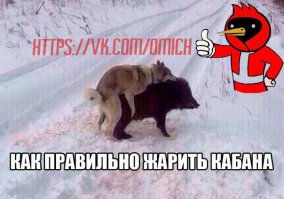 25 зарисовок о том, что было бы, если бы мы воспринимали всё в буквальном смысле