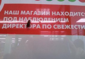 Пятерочка она такая. Директор по свежести б...ть