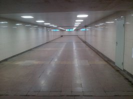 Время - 7-45. Месяц - сентябрь. Место - подземный переход в центре города. Стамбул и Омск.