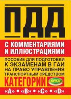 Трамвай подбил автора