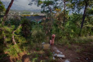 АААААаааААААА!!!!! ЧТо это?????