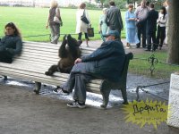 Вот и на чьей-то улице КАМАЗ с печеньками.... тьху... водкой перевернулся
