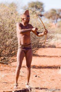 Не иначе как на льва охотится.