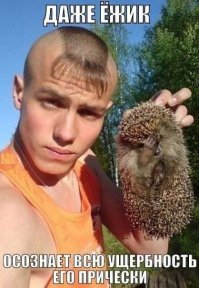 Ущербность причёски вторична. Первична ущербность мозгов.