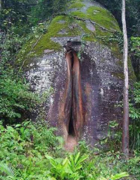 Показалось