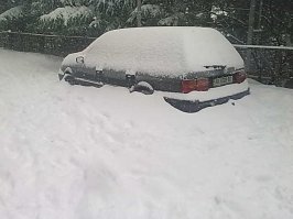 Ялта ёпта!
2011г.