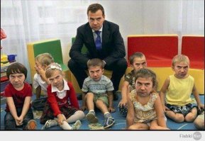 Ух ты, сколько медвежат!