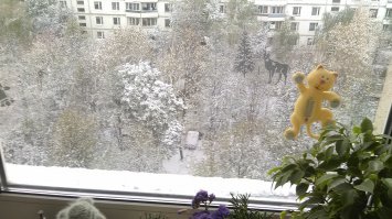 В Москве уже был, не очень много, зато с метелями)