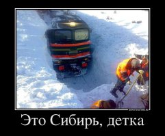 Сцуко, какие прекрасные советы!