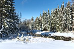 Североуральск, север Свердловской обл. 10 октября и по сю пору...