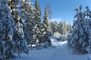 Североуральск, север Свердловской обл. 10 октября и по сю пору...