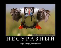 Подборка демотиваторов 