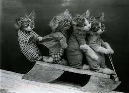 Очень много фото с кошками конца 19 начала 20 века.Открытки, первые кошачьи выставки, жанровые фото и т д. Масса известных и великих людей с питомцами... Так жалко, что ретро- кошки выходят такими усеченными, хоть и регулярно.