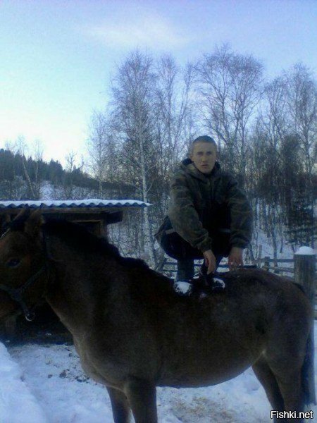 Сел лось на лося - и тута понеслося!
Жалко, не предоставили фотки с отпечатками копыт