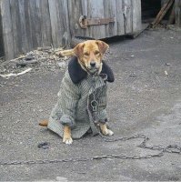 Шариков на даче у профессора Преображенского