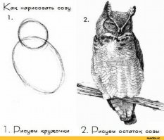 под шумок своим системником похвастаюсь:) есть недочеты, но в целом получилось нормально и главное железу комфортно по температуре. Процесс производства не снимал, поэтому вышло, как про сову:)