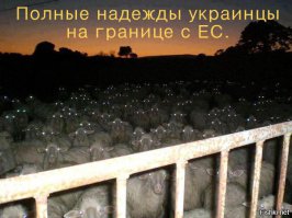 А там забор впереди...
