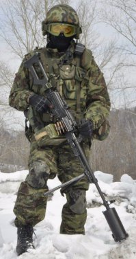 Вообще-то это не Печенег, а ПК с глушителем (по-моему, также не похож на Барсук)