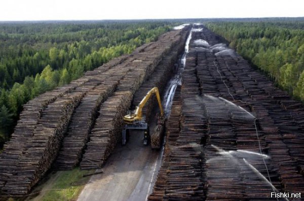 Странновато это ,Шведы у себя не вырубают древесину а наоборот закупают ее с прибалтики и вырубка идет такими темпами что скоро в Латвии леса не останется . Как понимать это фото ?