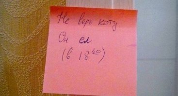 Круто, когда домашние с юмором 