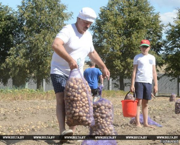 Секреты производства чипсов 