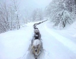 Больше, чем просто фото