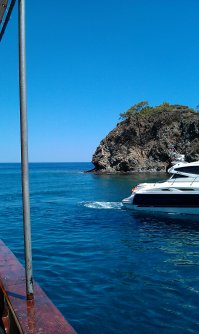 Турки говорят, типо профиль Клеопатры.