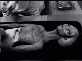  8 самых известных интернет-фейков, на которые мы так искусно повелись