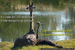 Давайте посмеёмся и поделимся припасёнными анекдотами