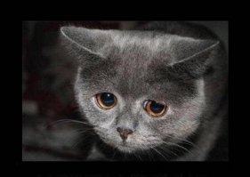 Унылый пост с фотошопом...