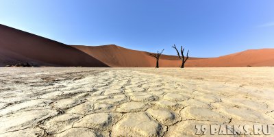 Завтра дополню историю, рассказав об огромной котловине из белой глины, находящейся в центральной части пустыни Намиб, под названием Дэд-Влей (Dead Vlei), или «Мертвая долина».