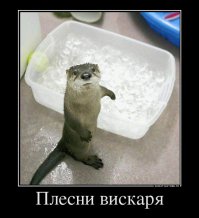 Комментарии в картинках!