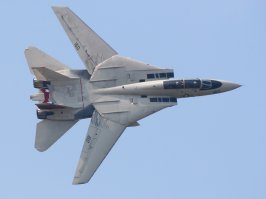 Автор перерисовывал американский палубный истребитель F-14 Tomcat?