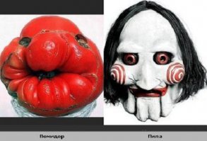 Ничего пошлого, это все создала сама природа! 