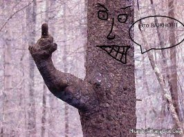 Ничего пошлого, это все создала сама природа! 