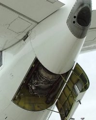 в самом хвосте