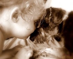 Собаки и дети