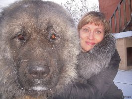 ну,как-то так.:)