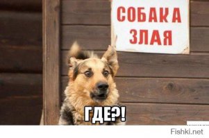 Минутка улыбашек