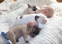 Собаки и дети