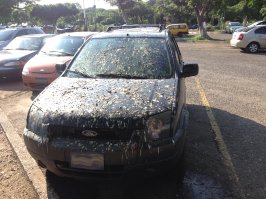 Его ожидает это: