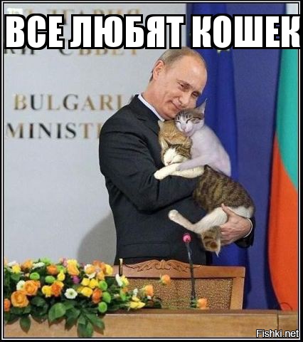 Спасли манула от собак